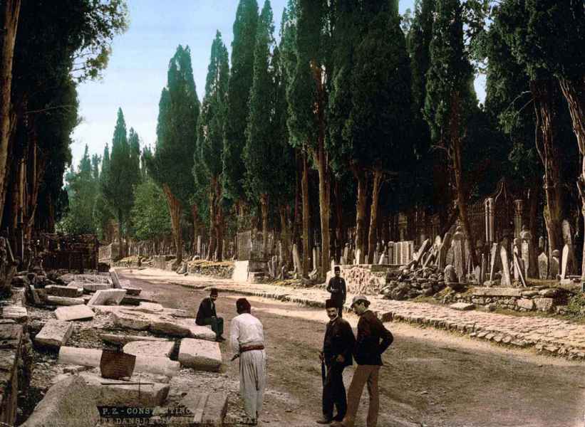 Kuvvetle muhtemel Eyüp Sultan Mezarlığı yolunda selviler.