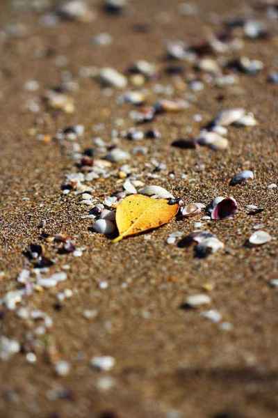 Nisan Güzellemesi 01