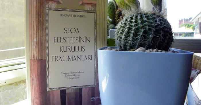 stoa