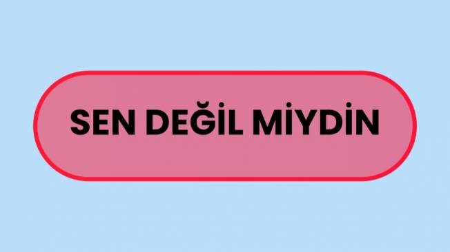 SEN DEĞİL MİYDİN