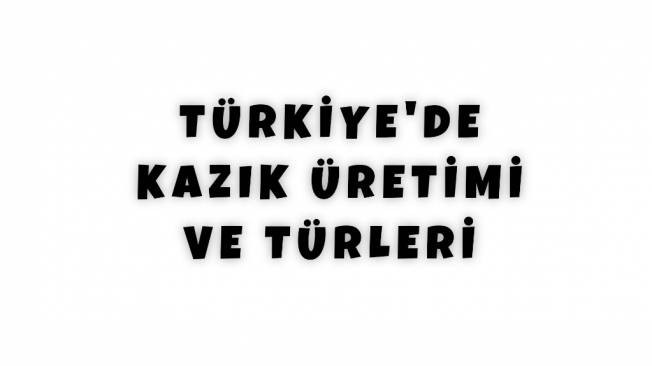 TÜRKİYE'DE KAZIK ÜRETİMİ VE TÜRLERİ