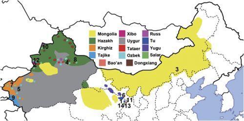 Doğu Türkistan’da ve Çinin Kuzeyinde Çeşitli Etnik Grupların Genetik Değerlendirmesi çalışması safsatalarla dolu