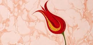 images-5